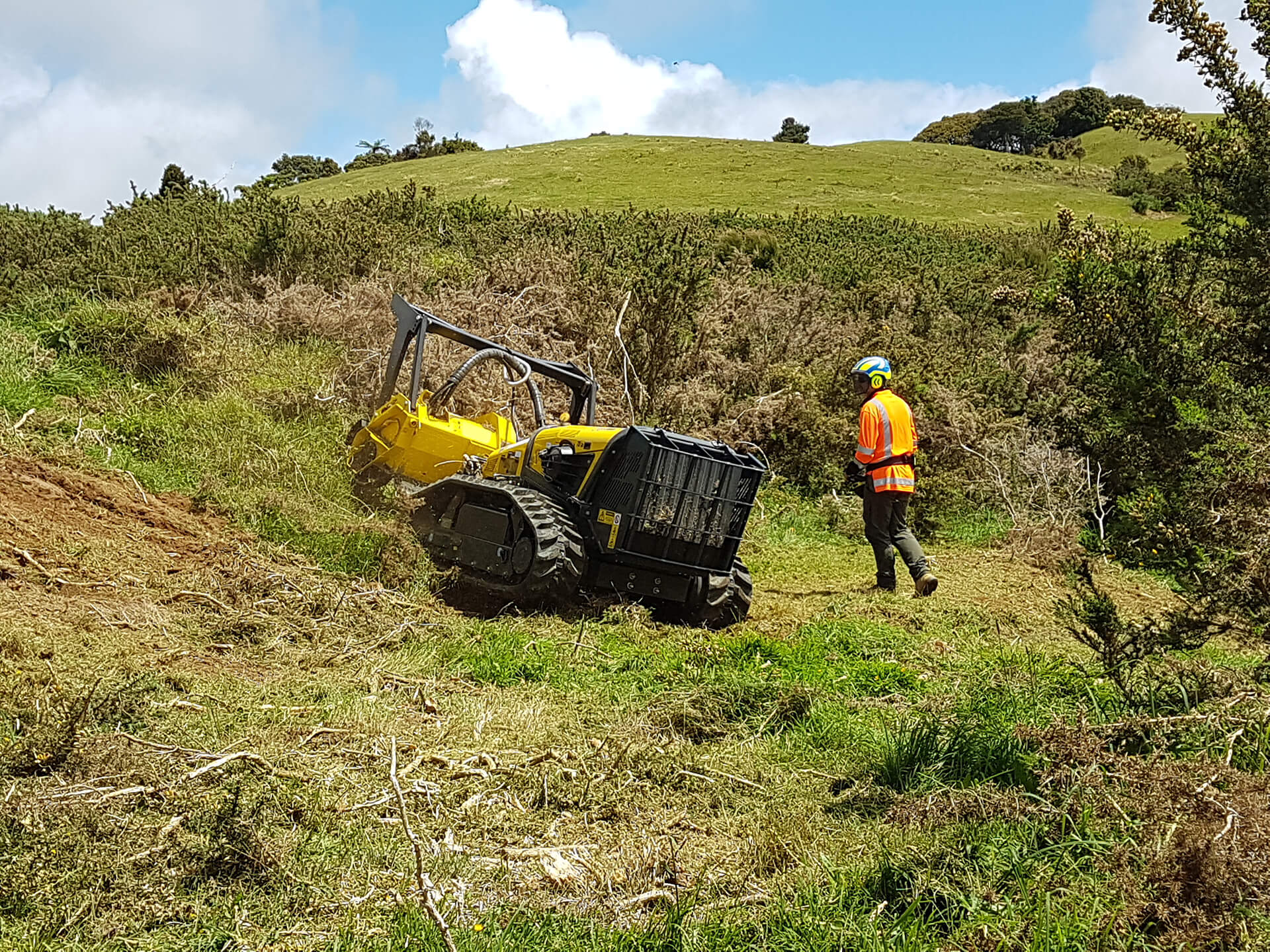 Professional Land Clearing Services | Land Clearing Northland